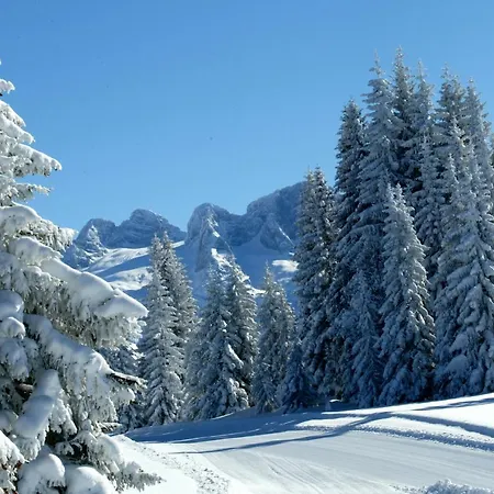 Hotel Der Abtenauer Abtenau