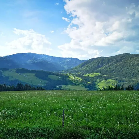 Der Abtenauer Hotel Abtenau