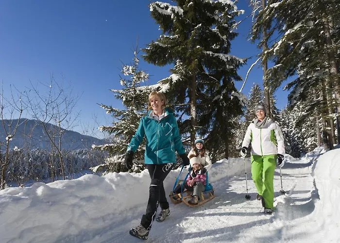 ホテル Der Abtenauer 4*