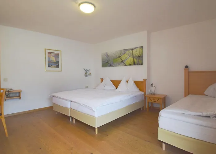 ホテル Der Abtenauer アプテナウ