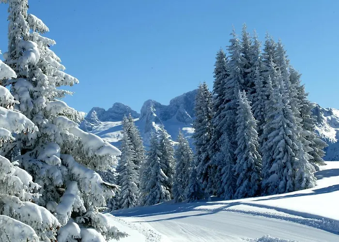 ホテル Der Abtenauer アプテナウ