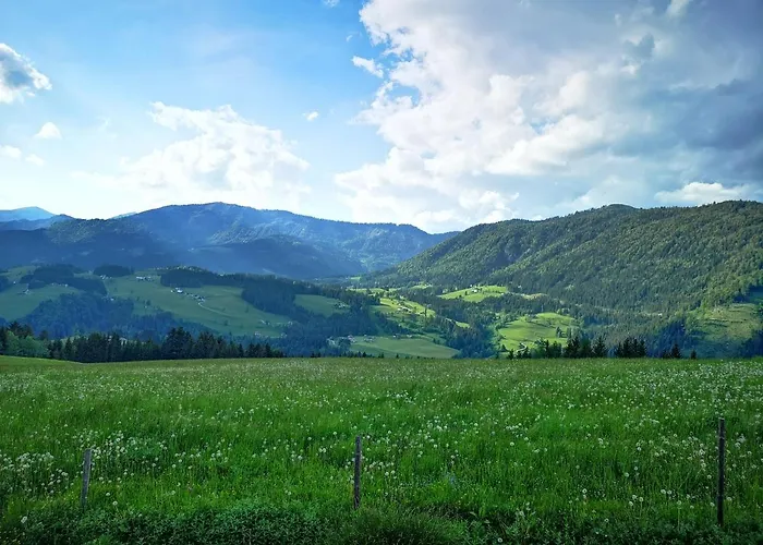 Der Abtenauer ホテル アプテナウ